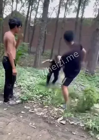 山东临清霸凌事件